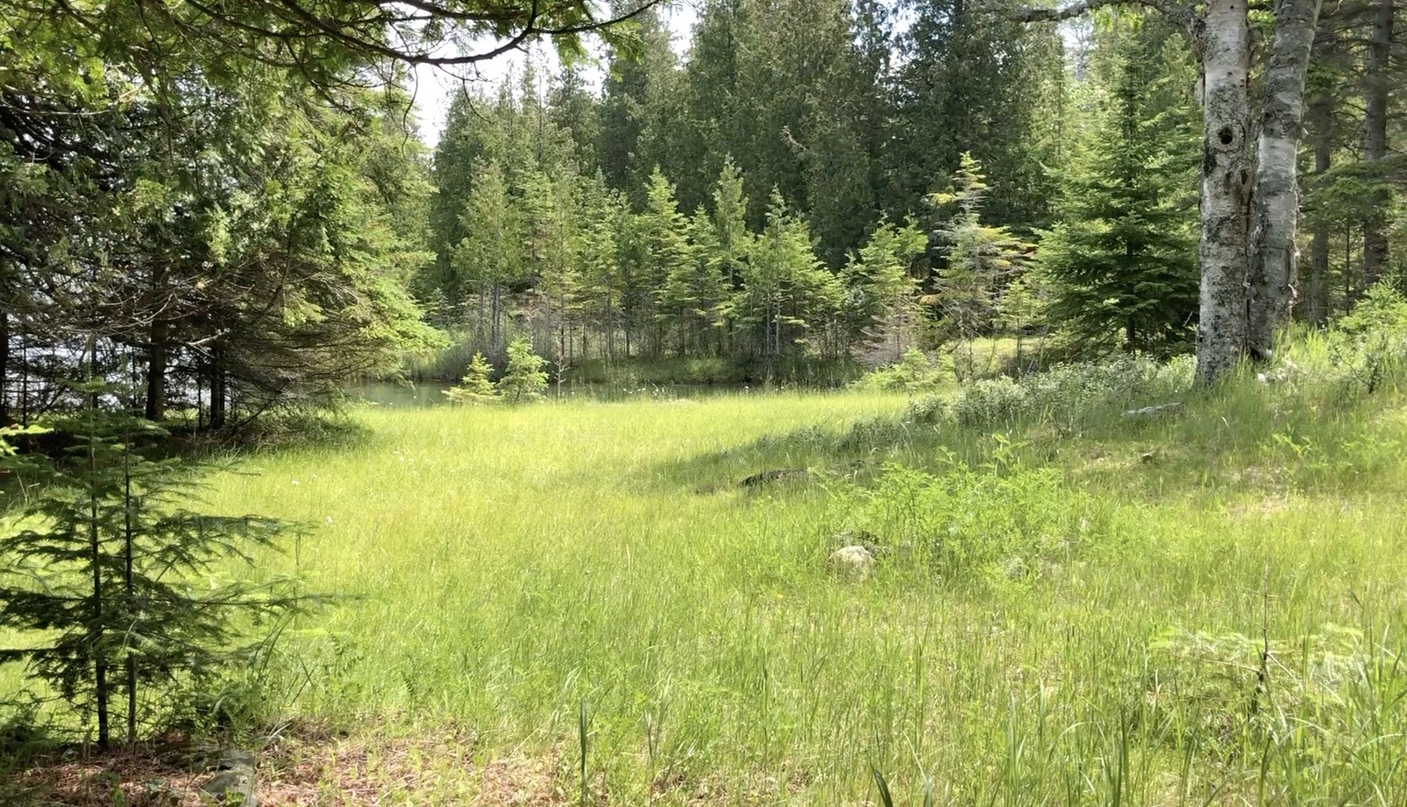 3882000394 Drummond Island Realty