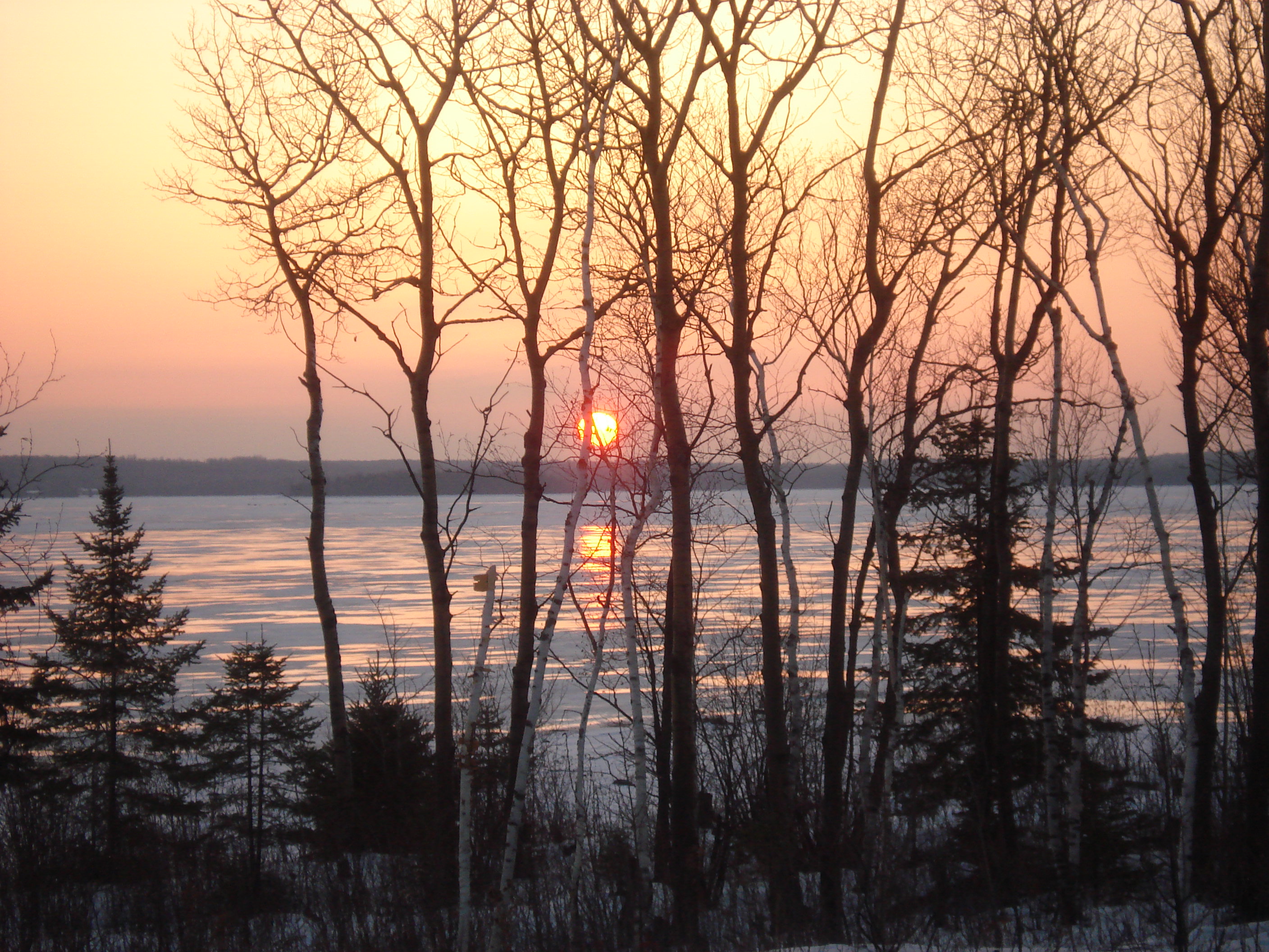 The 30-Minute Menu: Quick Weeknight Wins