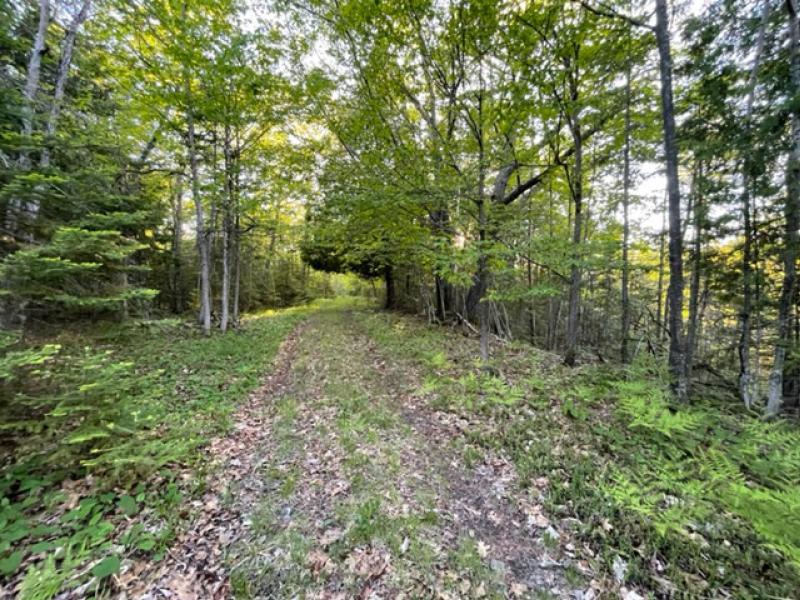 388220032b Drummond Island Realty